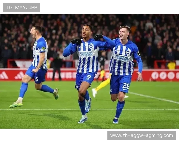 英超牛津球队：牛津联足球俱乐部在英超的表现与历史