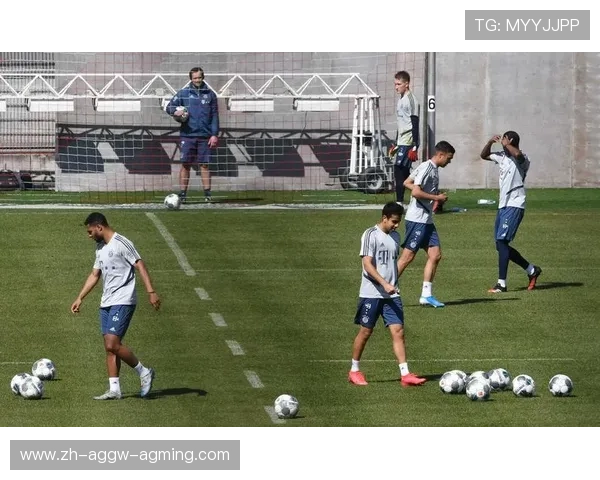 足球队空场德甲现象及背后原因探讨